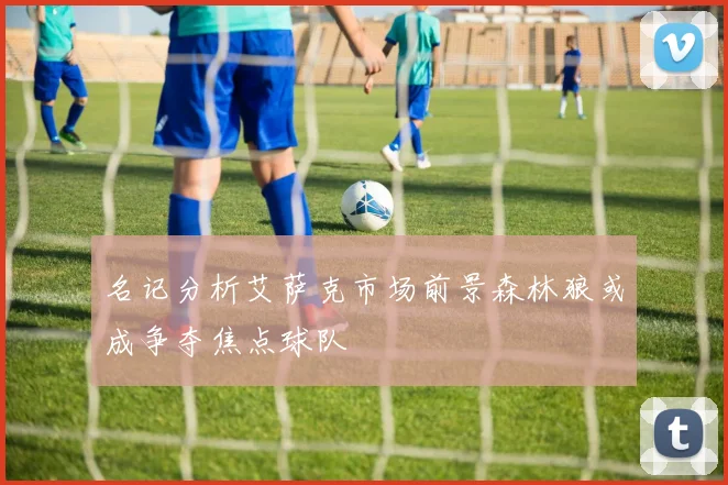 名记分析艾萨克市场前景森林狼或成争夺焦点球队